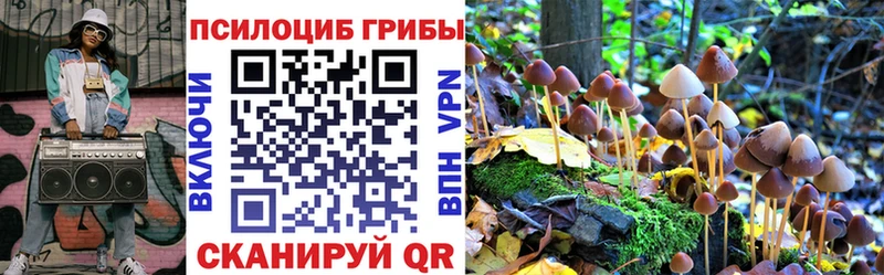 Псилоцибиновые грибы Psilocybine cubensis  Купить закладки  Усмань 